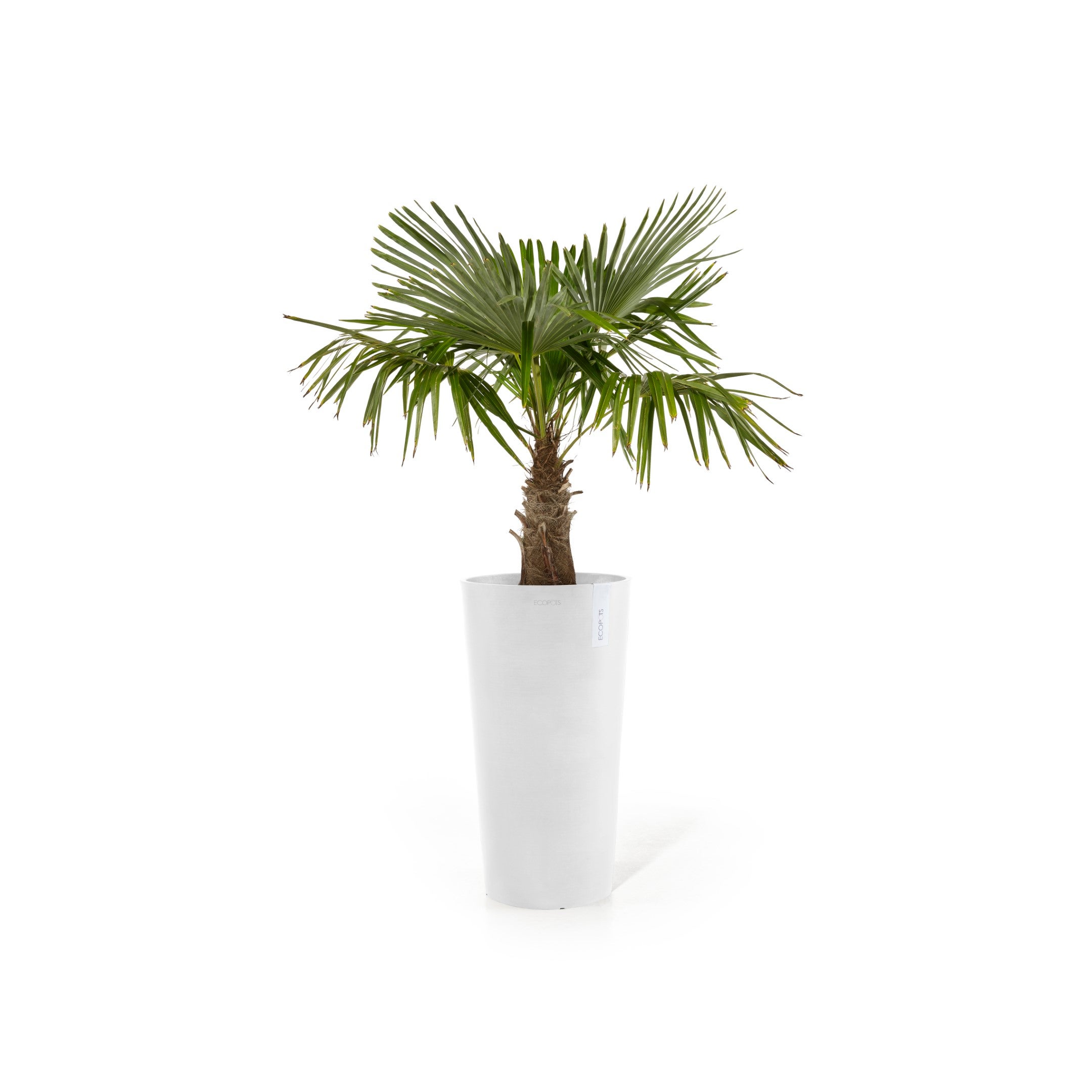 Soucoupe Ecopots rectangulaire 55 pour pot de fleurs - L 57,5 cm x l 19,2 cm x H 2,7 cm - Gris - Intérieur et extérieur - 2