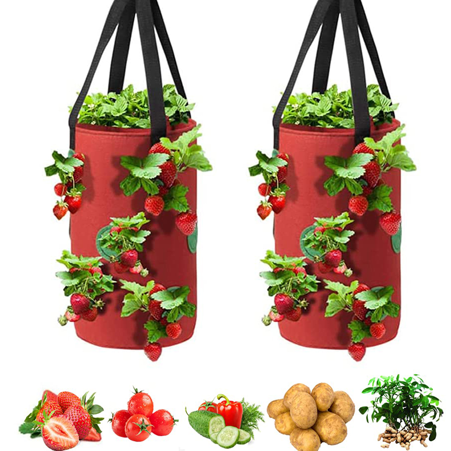 Growshop Pour Matériel De Culture Indoor | Saucegrowing