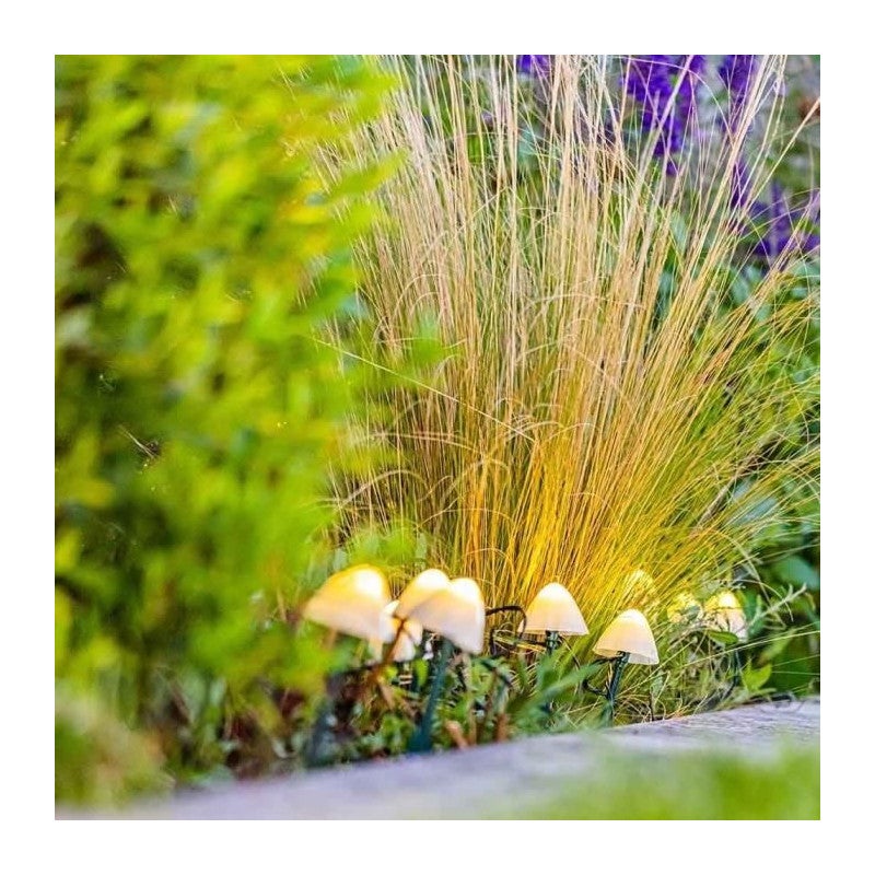 10 mini-champignons lumineux solaires a piquer - LUMISKY - CHAMPY - 3.8 m - Balisage allée - LED blanc chaud - 4