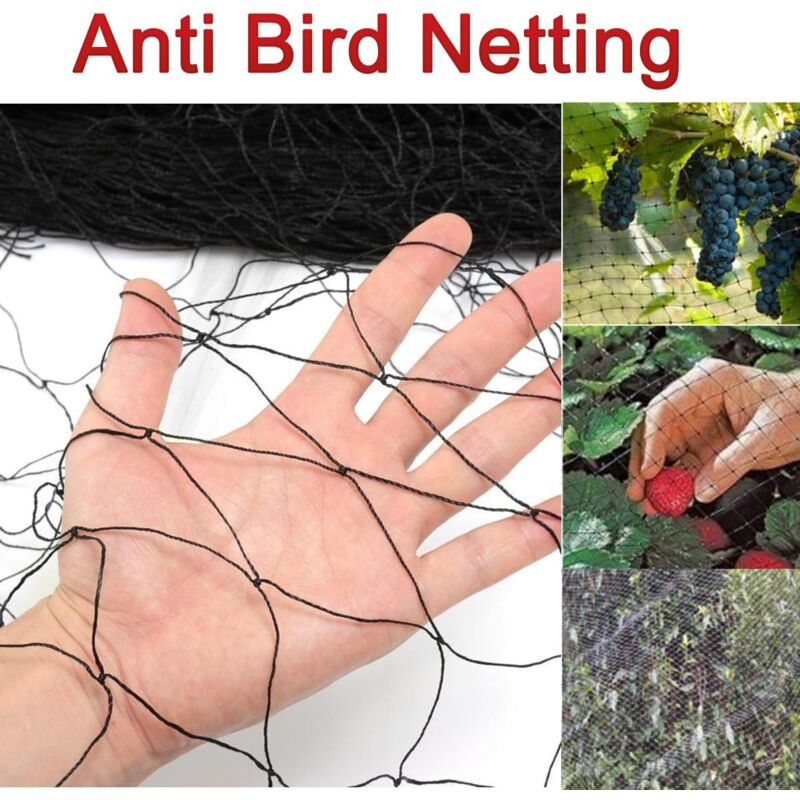 Liwein Filet De Protection Anti-Oiseaux 5x10m Noir - Maille 2,5cm Robuste Pour Jardin, Volière, Fruits & Légumes