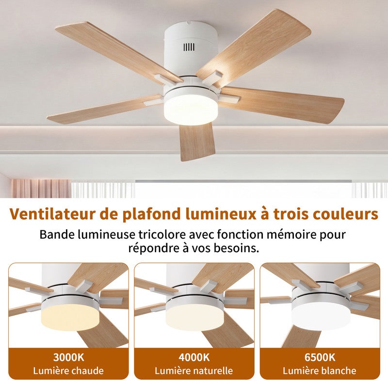 Ventilateur de Plafond, LED avec Lumière et Telecommande, Ventilateur Dimmable Plafonnier, 5 Pales, 6 Vitesses, Silencieux, Diamètre 106cm - 9