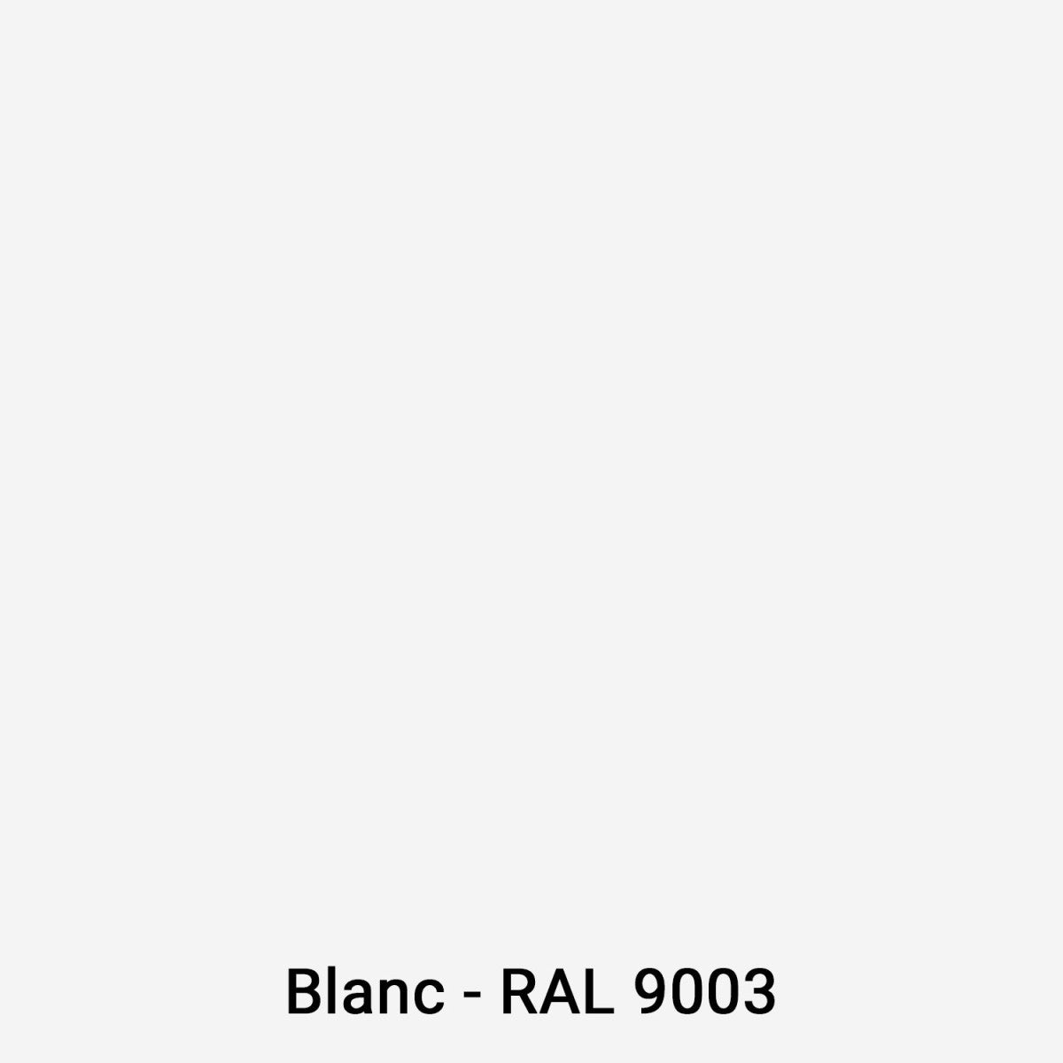 Peinture Bois Extérieur : Portails, bardage, abri, mobilier de jardin : ARCALAQUE 201 Blanc - RAL 9003 - 0.5 L - ARCANE INDUSTRIES - 2