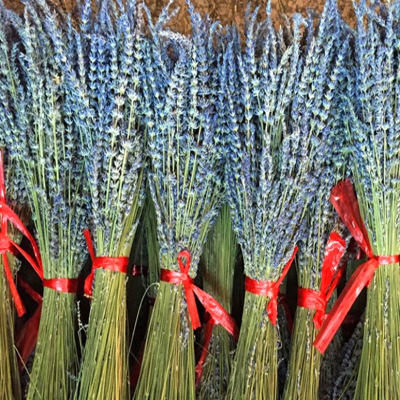 Bouquets de fleurs de lavande séchées (plus de 200 tiges, de 38 à 43 cm de long) pour la décoration intérieure,les loisirs créatifs, les cadeaux - 3