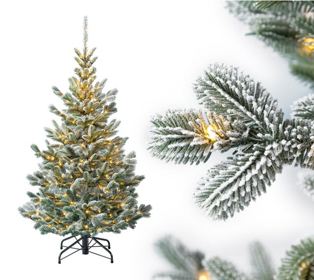 Sapin de noel nobilis en pot au meilleur prix Leroy Merlin — free download