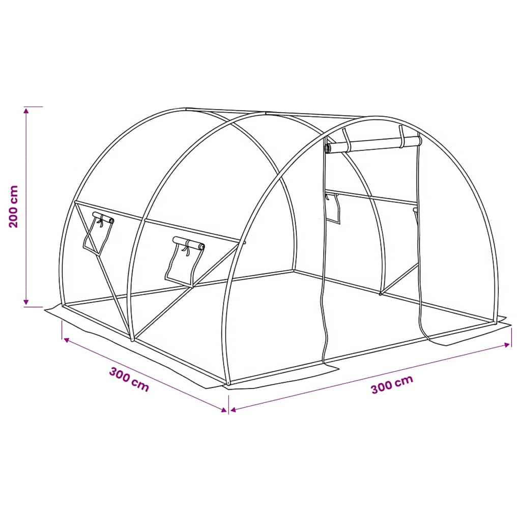 Serre 9 m² 300x300x200 cm vidaXL - 3