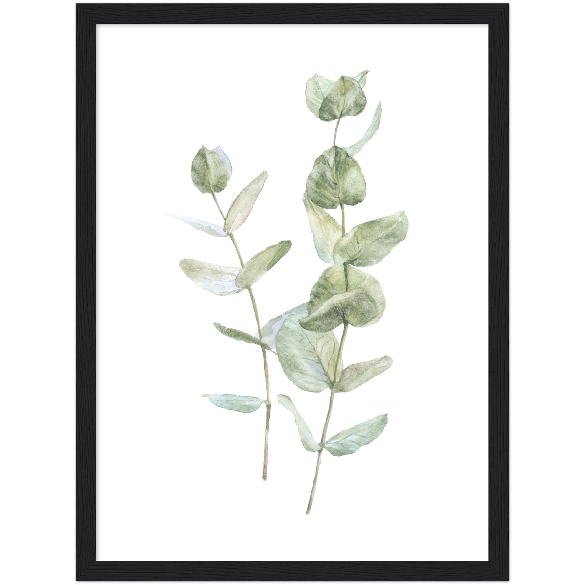 Lámina decorativa para enmarcar EUCALIPTUS II 30x40 cm | Leroy Merlin
