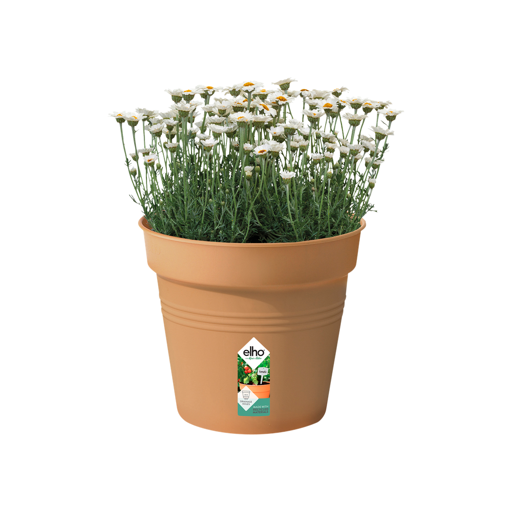 Elho Green Basics Pot De Culture 30 - Marron - Ø 30 x H 28 cm - intérieur-extérieur-culture et récolte - 100% recyclé - 2