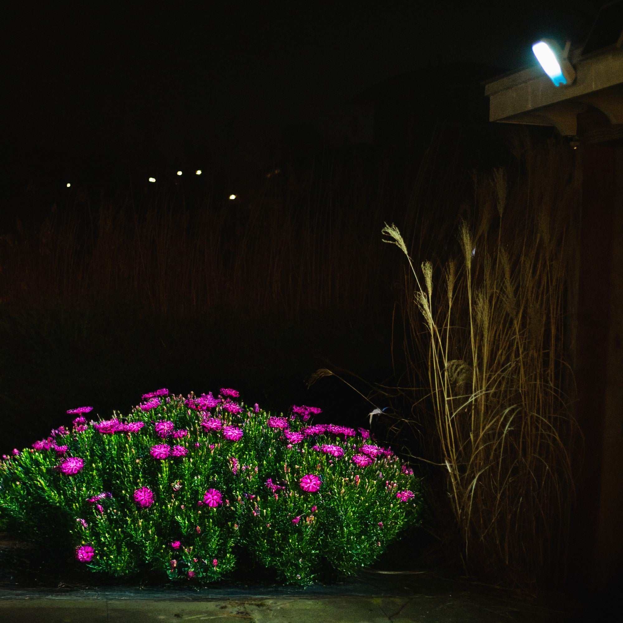 Projecteur solaire LED Iplux® PowerBeam Elite 4000 lumens - Haute qualité - Détecteur de mouvement - IP66 - 6000K - Aluminium - 3