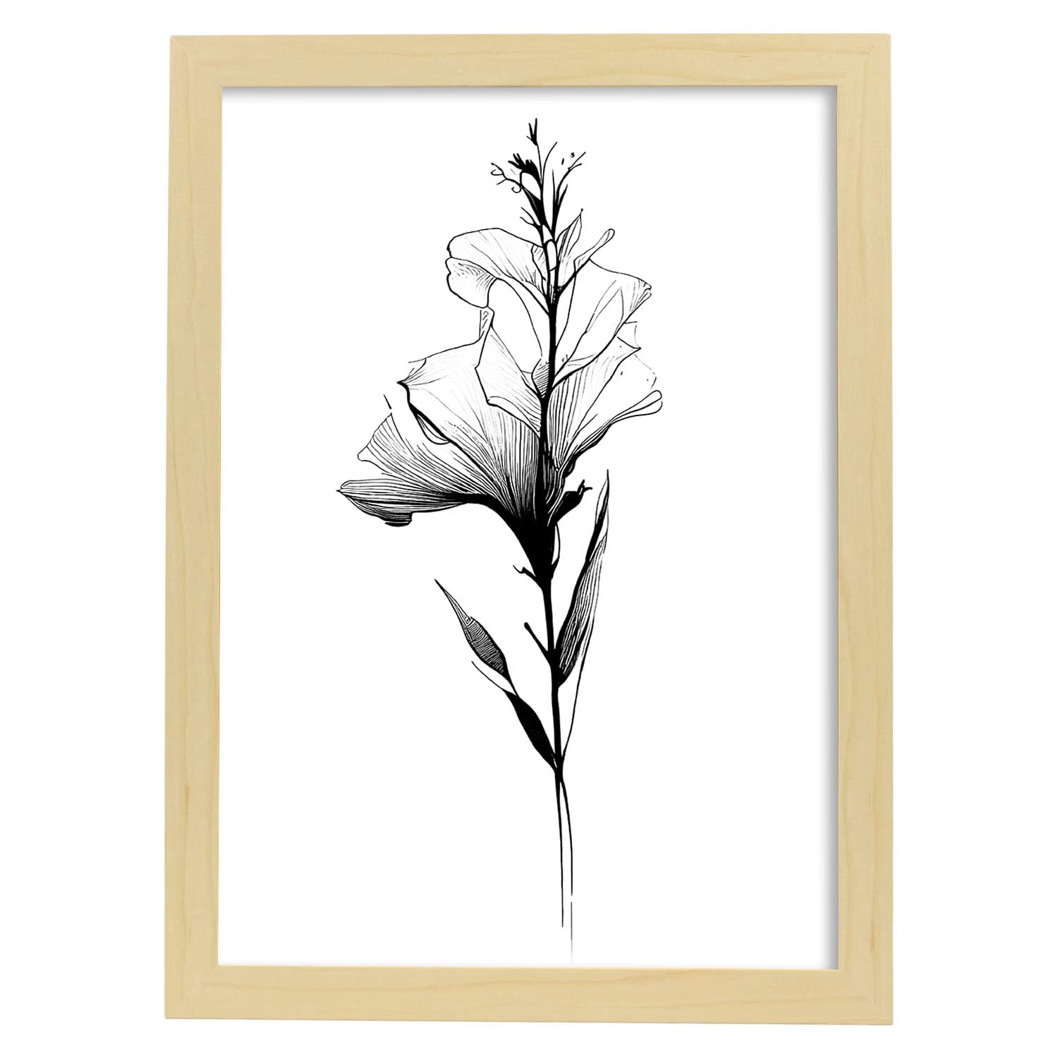 Nacnic poster de gladiolo estilo nórdico ilustraciones de botánica con flores y plantas en blanco y negro diseño y 3 a4 con marco de madera clara