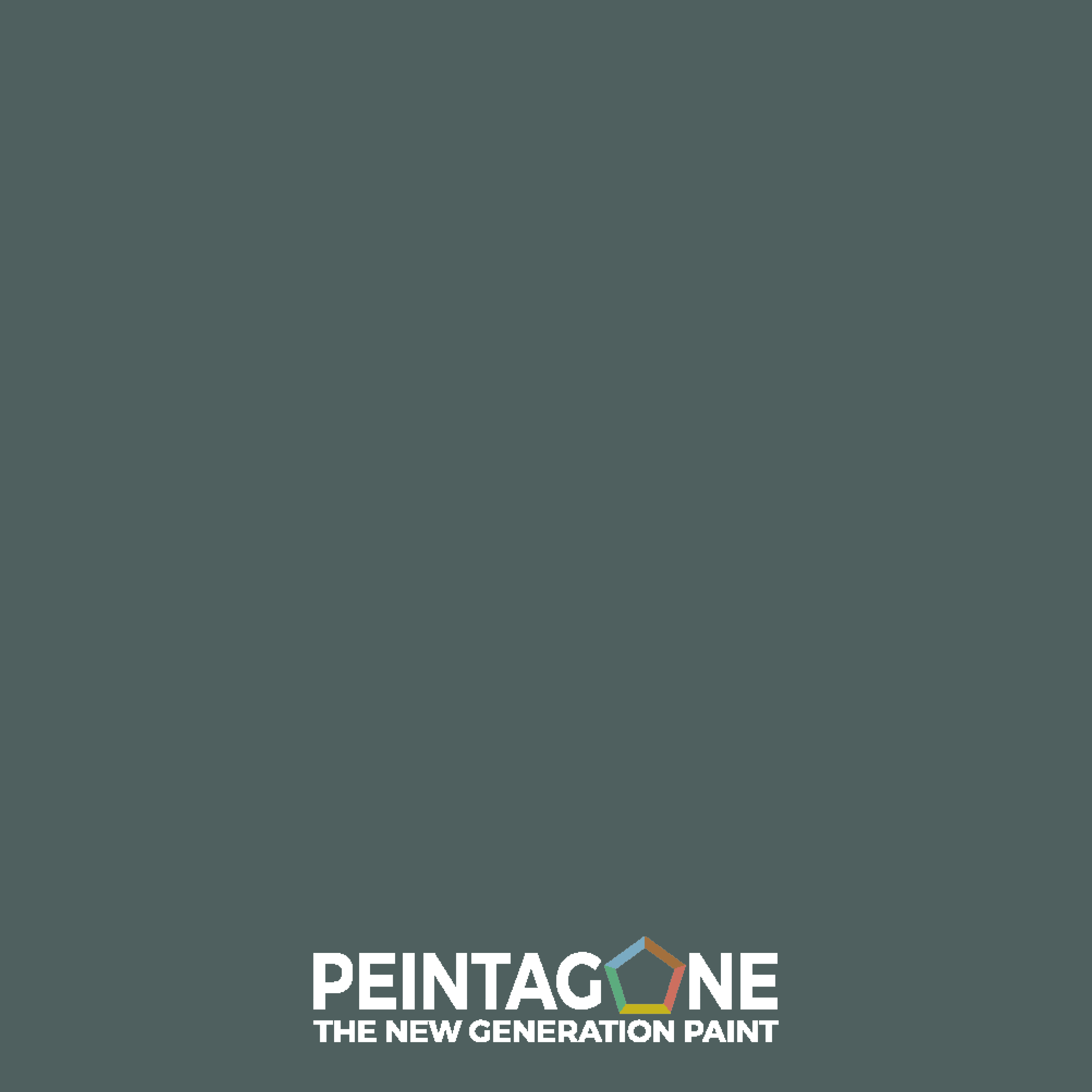 Laque de finition extra résistante pour mur int. & bois - Lak PU Pro Satin, 4 l, Amazonia (PE072) - PEINTAGONE - 2