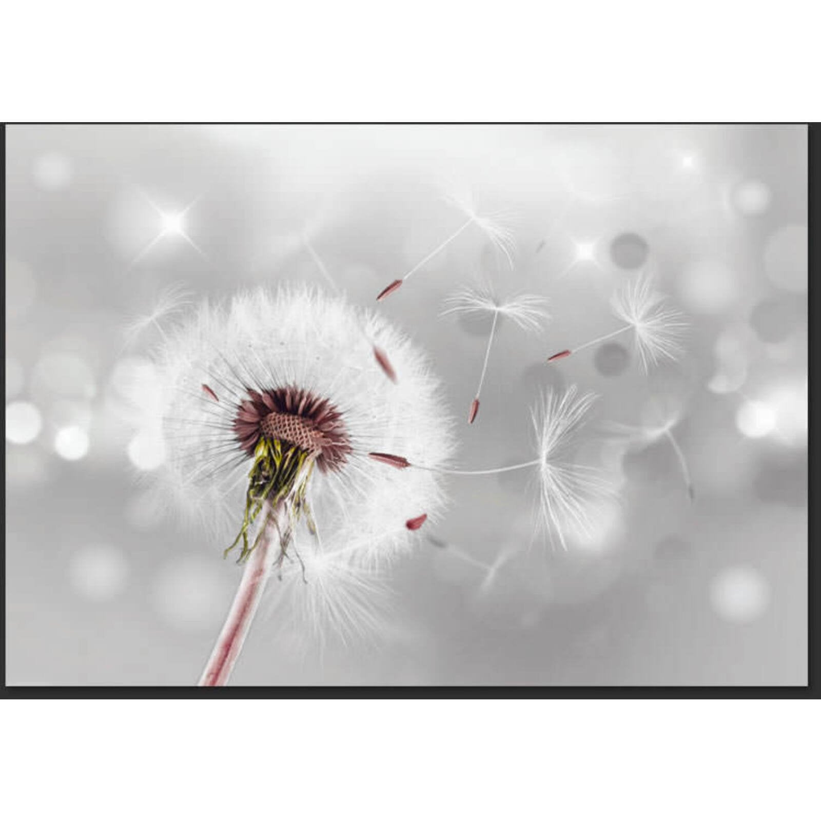 Papier peint saisir l'invisible - 400 x 280 cm - 2