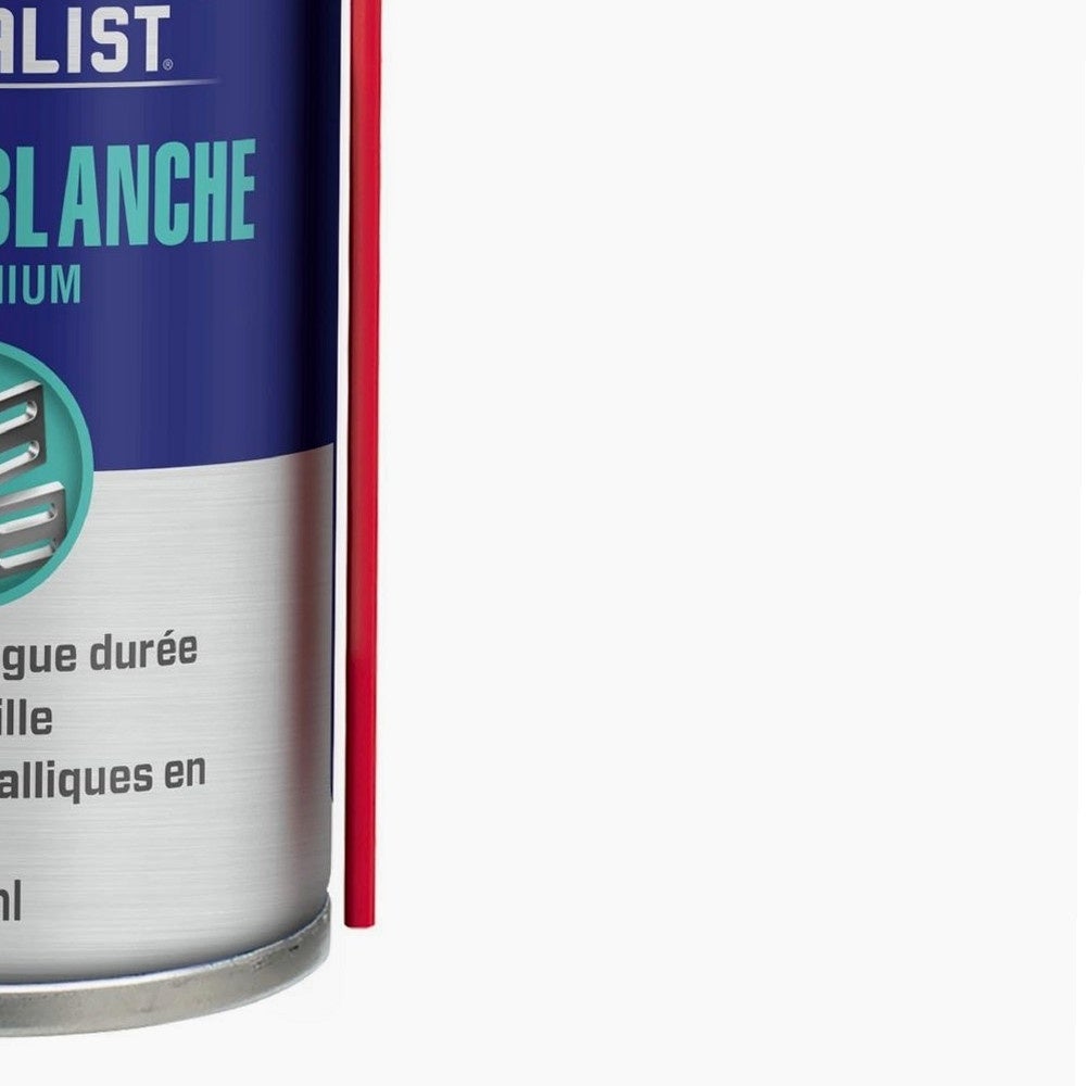 Bomboletta di grasso al litio WD40 250ml - 9