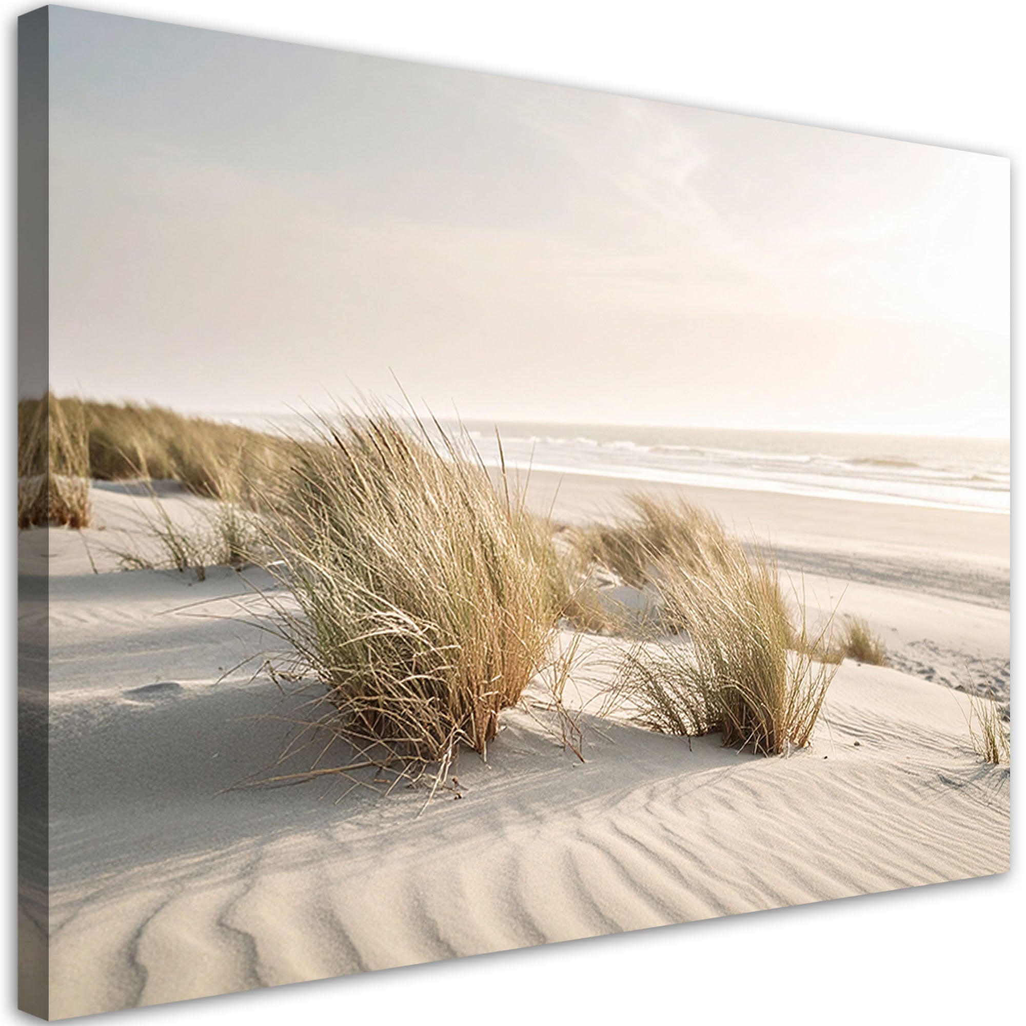 Obraz do salonu sypialni jadalni, Plaża morze wydmy natura rośliny 90x60