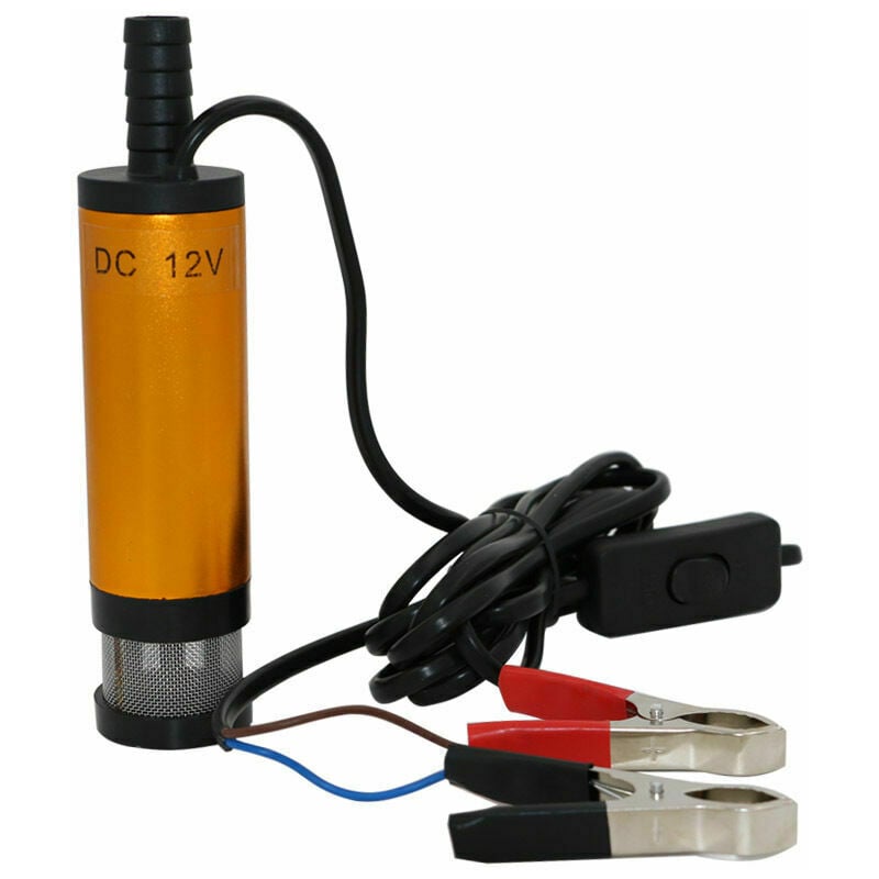 Pompa Elettrica Carburante 12V 12L/min In Acciaio Inox Con Filtro E Spina Accendisigari