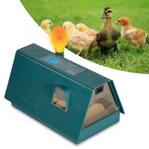 Incubatrice Per Uova Automatica 12 Uova - Con Girauova, Termostato, Display LED, Per Tartarughe E Rettili - Foto 11