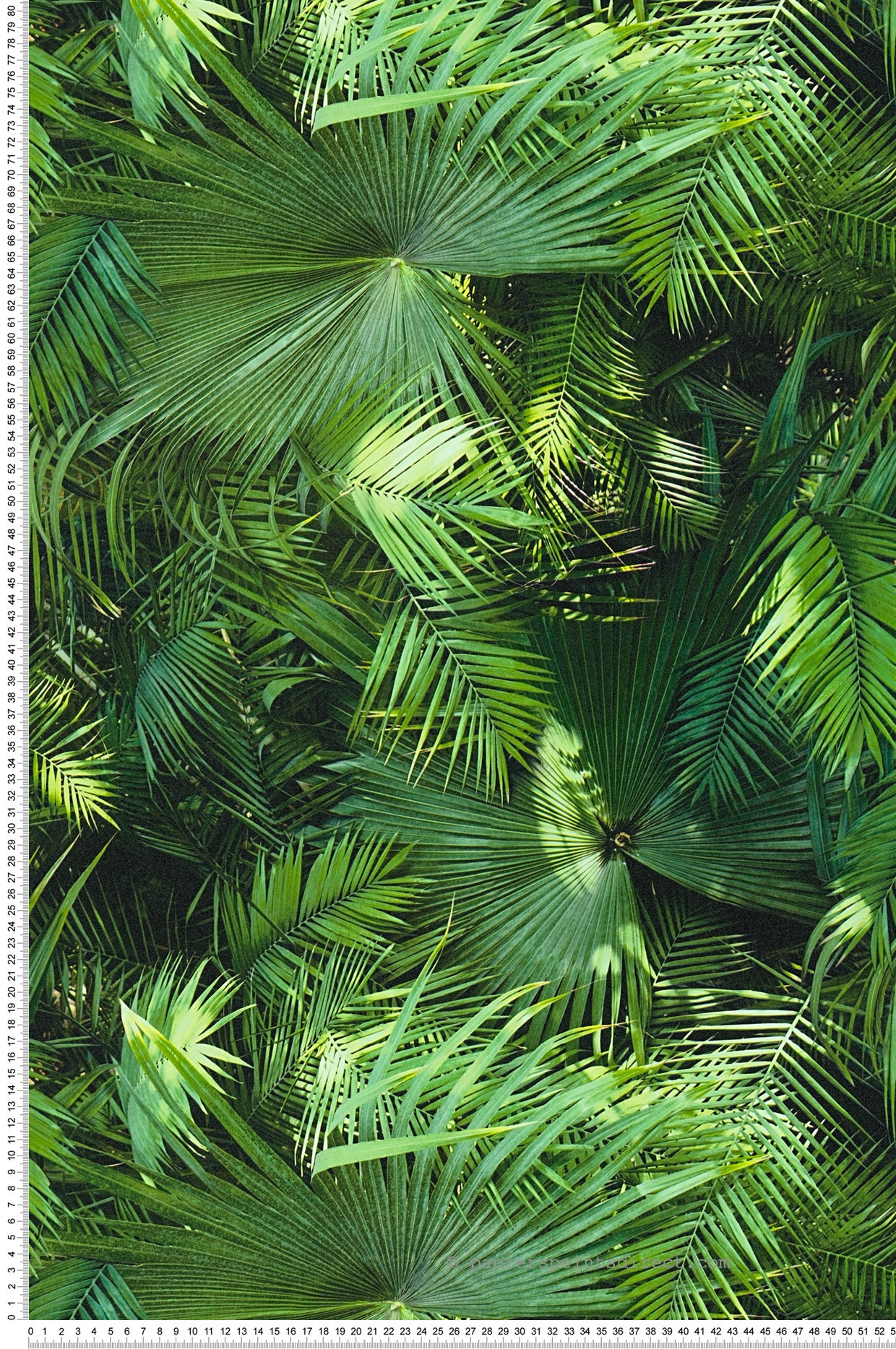 Tapeta tropikalne liście zielonym - 53 cm x 10.05 m - A.S. CRÉATION