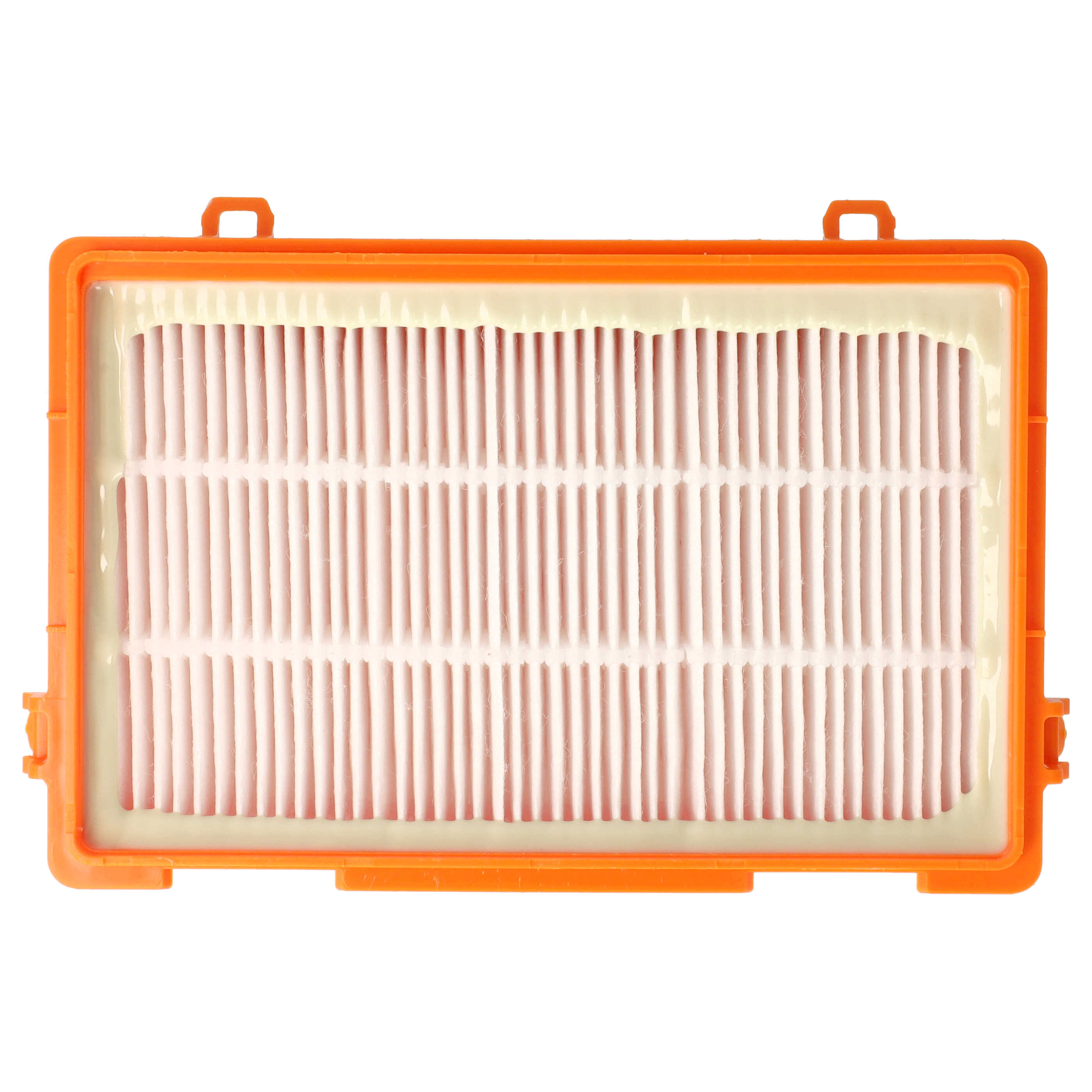 Vhbw Filtro HEPA 13 Per Aspirapolvere Thomas CrooSer - Ricambio 787251 - Adatto Per Animal, Eco, Parquet E Turbooz 2.0