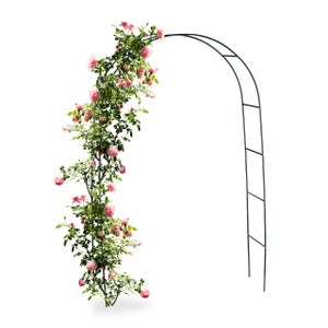 Tuteur à plantes, en lot pratique de 6, métal (acier), H x L : 79