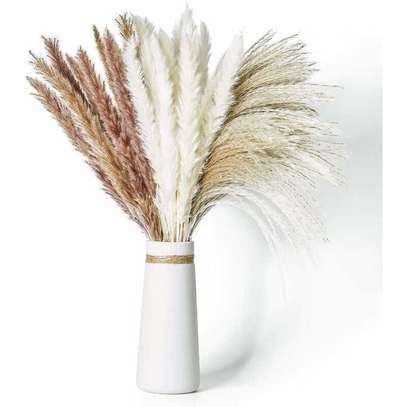 Herbe De Pampa Séchée Blanche - Lot De 40 Tiges Environ 45 Cm, Moelleuse, Pour Déco Boho, Mariage, Vase
