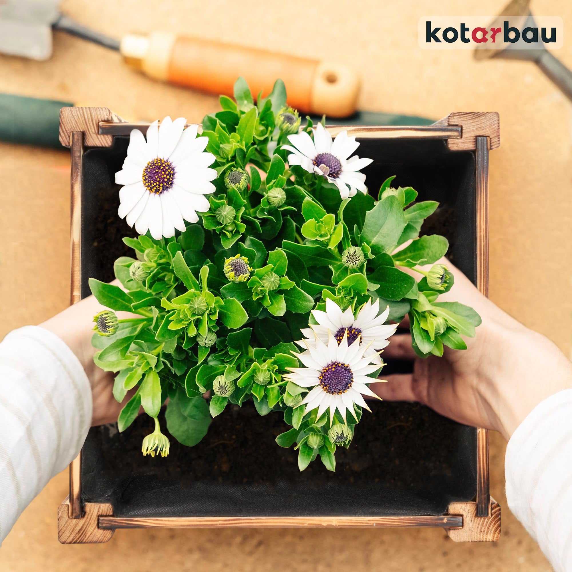 Pot de Fleurs en Bois 38 x 38 x 30 cm Jardinière en Pin Carbonisé Pot de Plantes Jardinière - Idéal pour Jardin Terrasse Balcon - KOTARBAU - 8