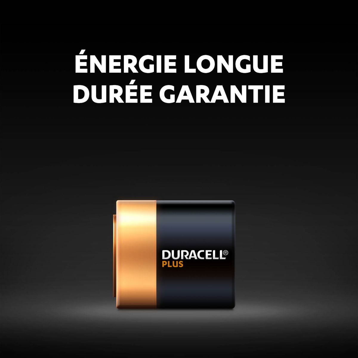 Pile DURACELL Plus Power 4,5V, 1 unité - 2