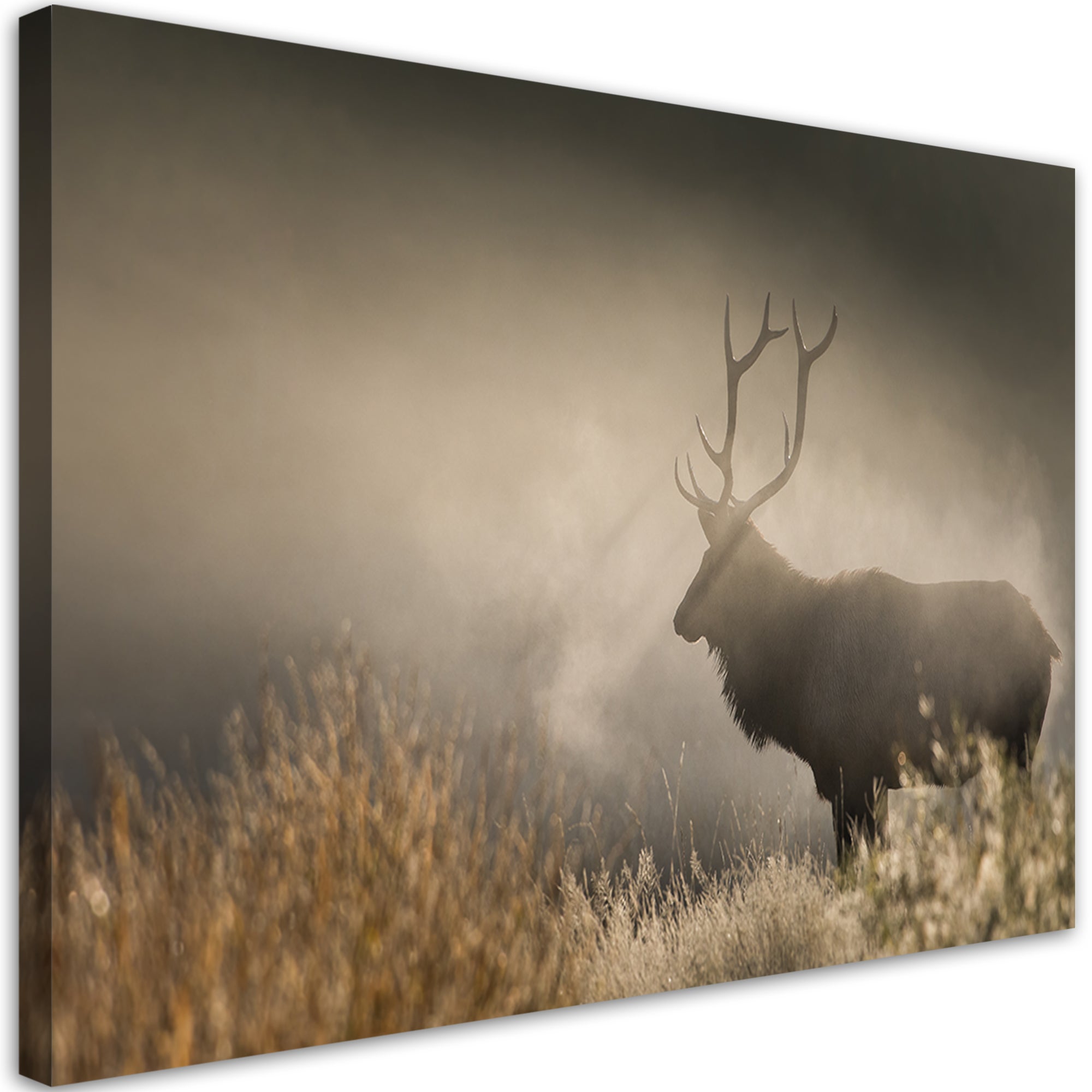 Obraz na płótnie, Jeleń we mgle natura 90x60