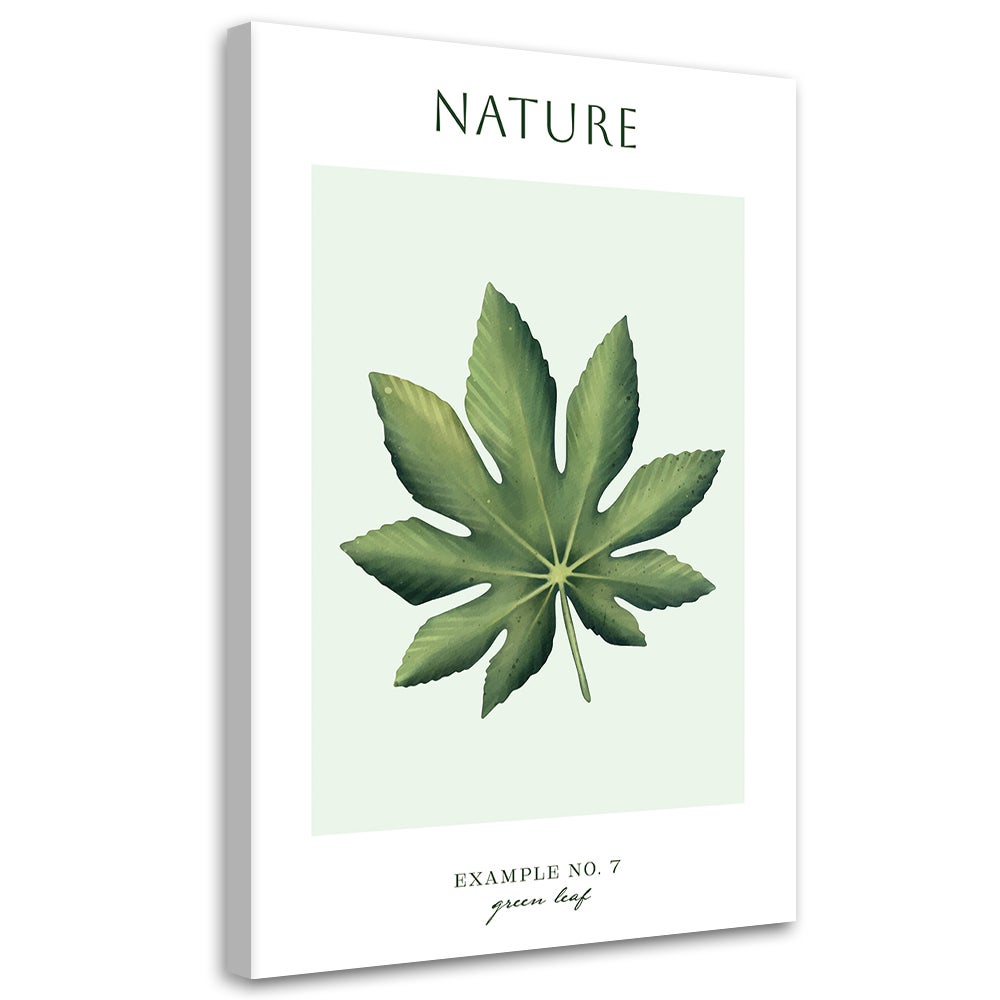 Obraz na płótnie, Zielony liśc - Natura 70x100
