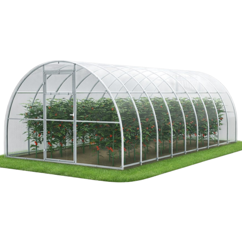 Szklarnia ogrodowa Tunel 3x6 m profile 20x20 poliwęglan 4mm - Szklarnia z poliwęglanu