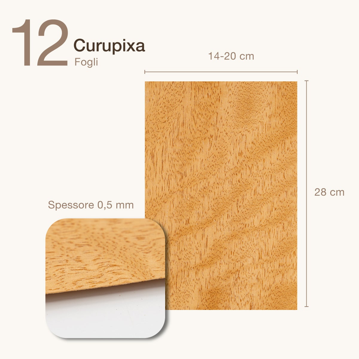 12 FOGLI DI IMPIALLACCIATURA IN LEGNO DI CURUPIXA - 2