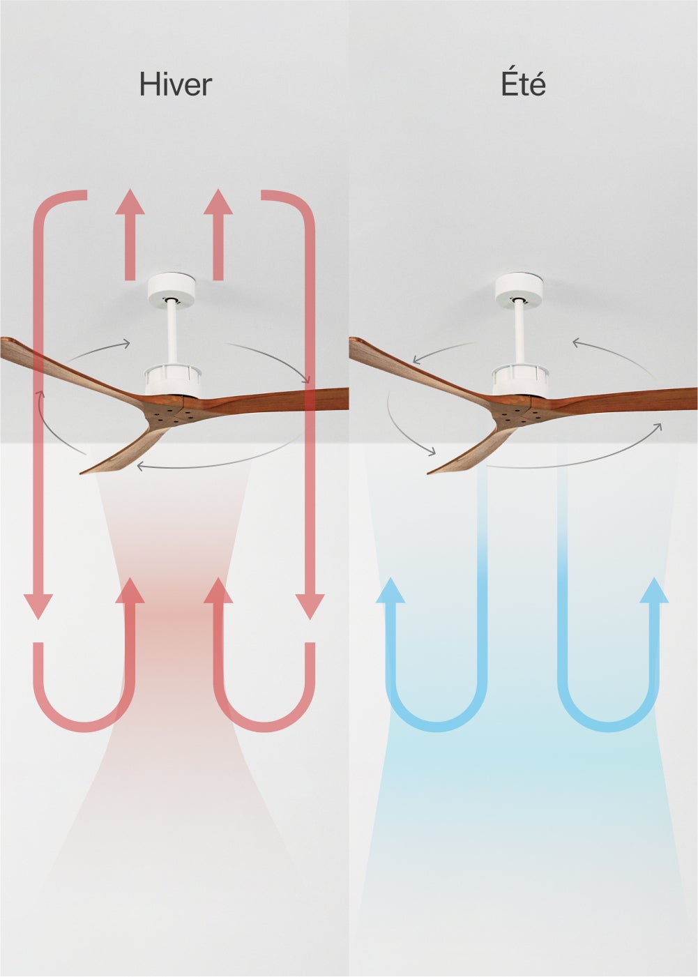 CREATE - WIND LARGE L - Ventilateur de plafond 40W silencieux Ø152 cm 100% bois sans eclaraige sans wifi - 4
