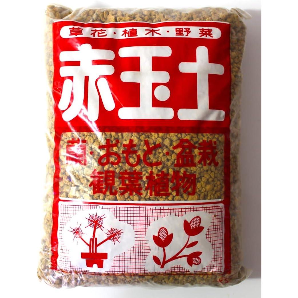 Automatico Grano 130mm - Puntale Intercambiabile Con Forza Regolabile - Foto 2