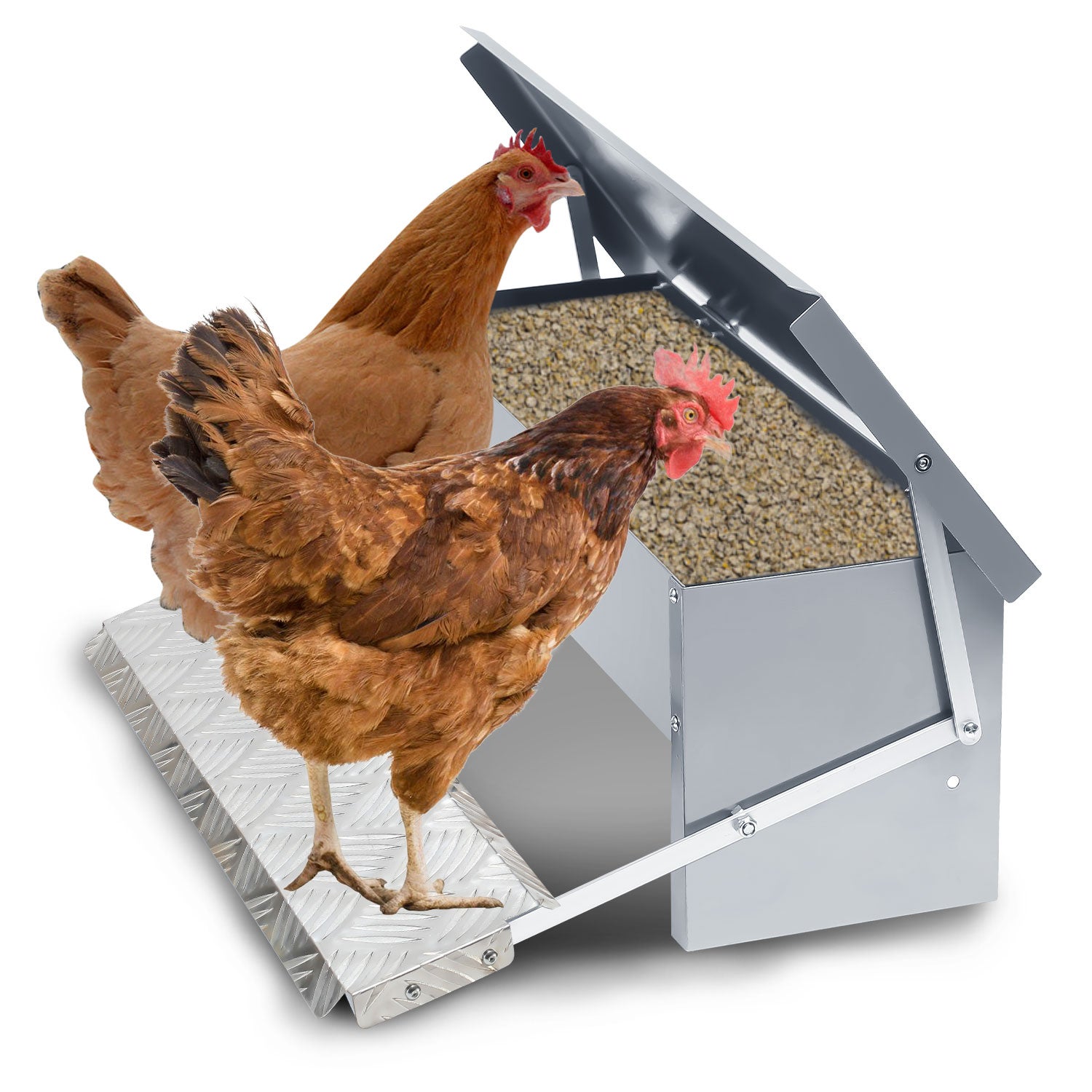 Mangiatoia Automatica Per Polli Da 5kg - Antiratto, Zincata E Impermeabile - Foto 8