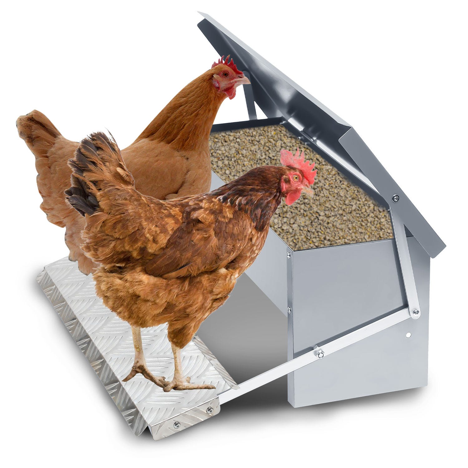 Mangiatoia Automatica Per Polli Da 5kg - Antiratto, Zincata E Impermeabile - Foto 8