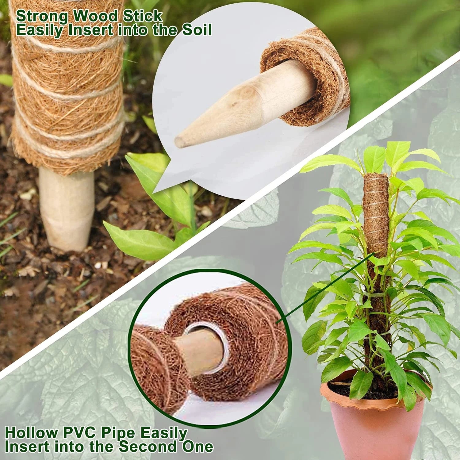 4pcs tige de mousse, tige de mousse de noix de coco pour plantes grimpantes, support extensible réutilisable pour plantes à fleurs 30 cm - 4