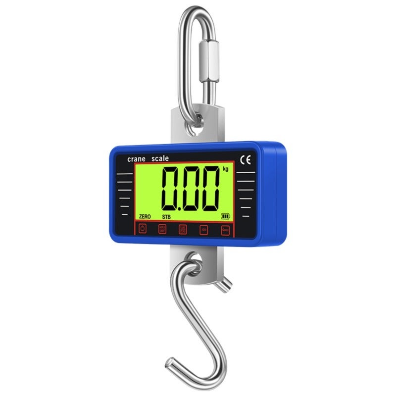 Bilancia Digitale 30kg Acciaio Inox Professionale per Alimenti e Pesa Pacchi