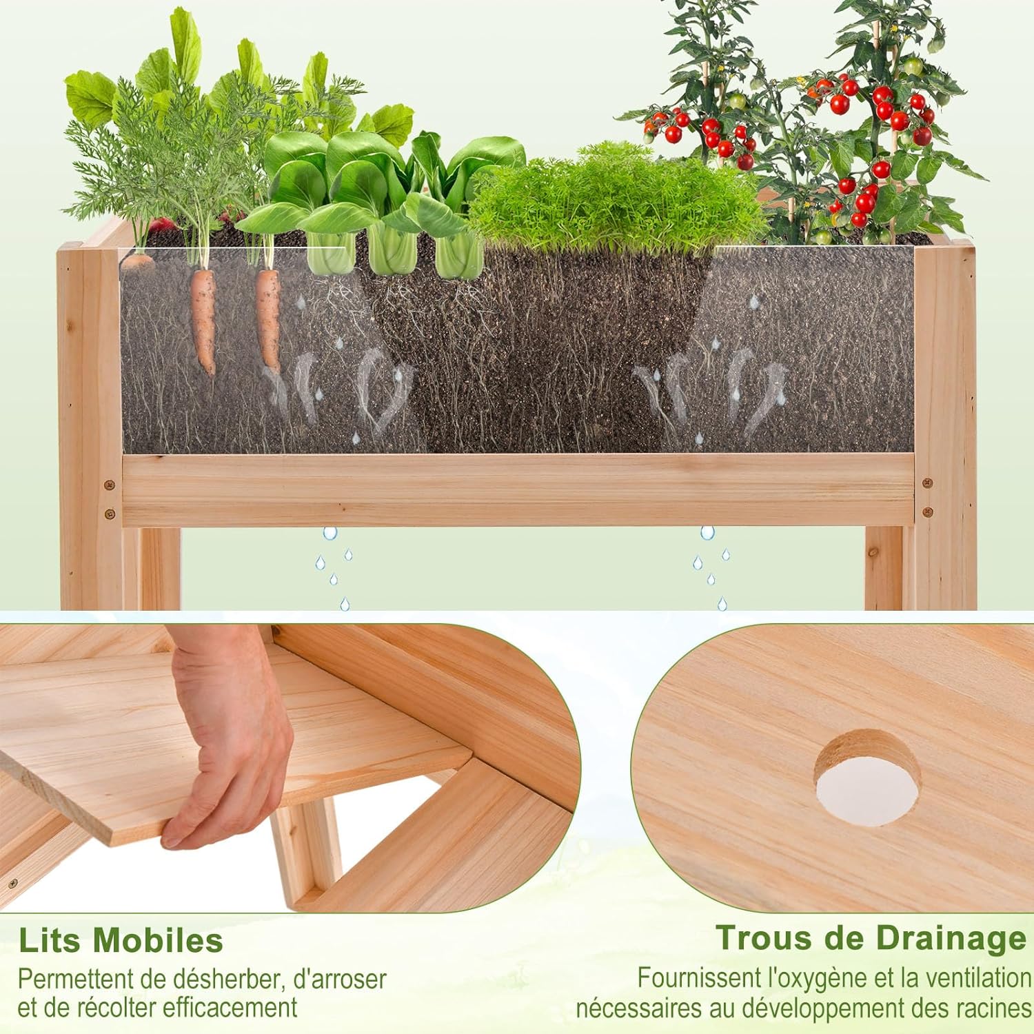 Carré Potager sur Pieds avec Panneau Acrylique, Lit de Jardin Surélevé en Bois, Trous de Drainage, Plates-Bandes Mobiles, 50L - 4