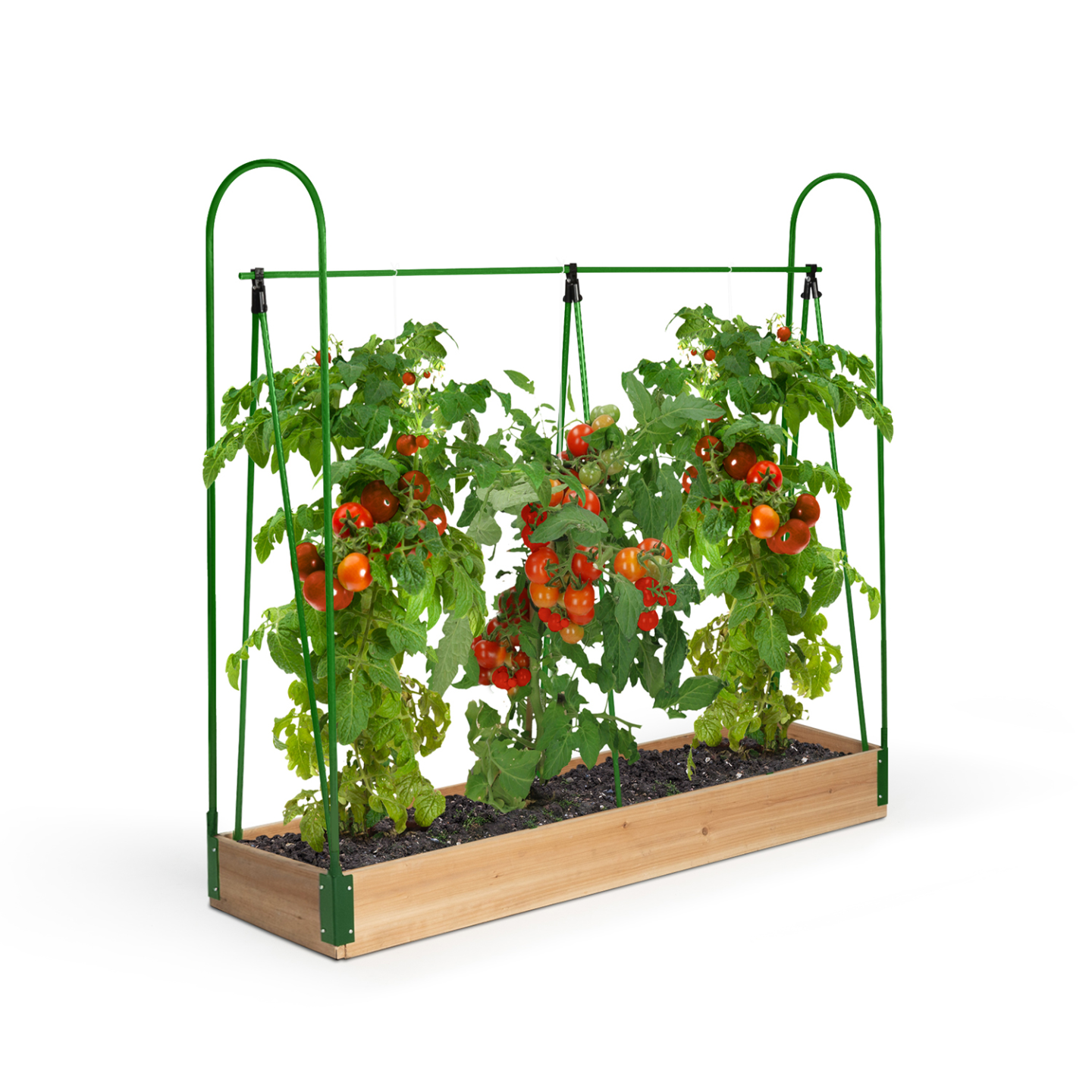 Serre à tomates spéciale croissance kit complet bâche + support - 5