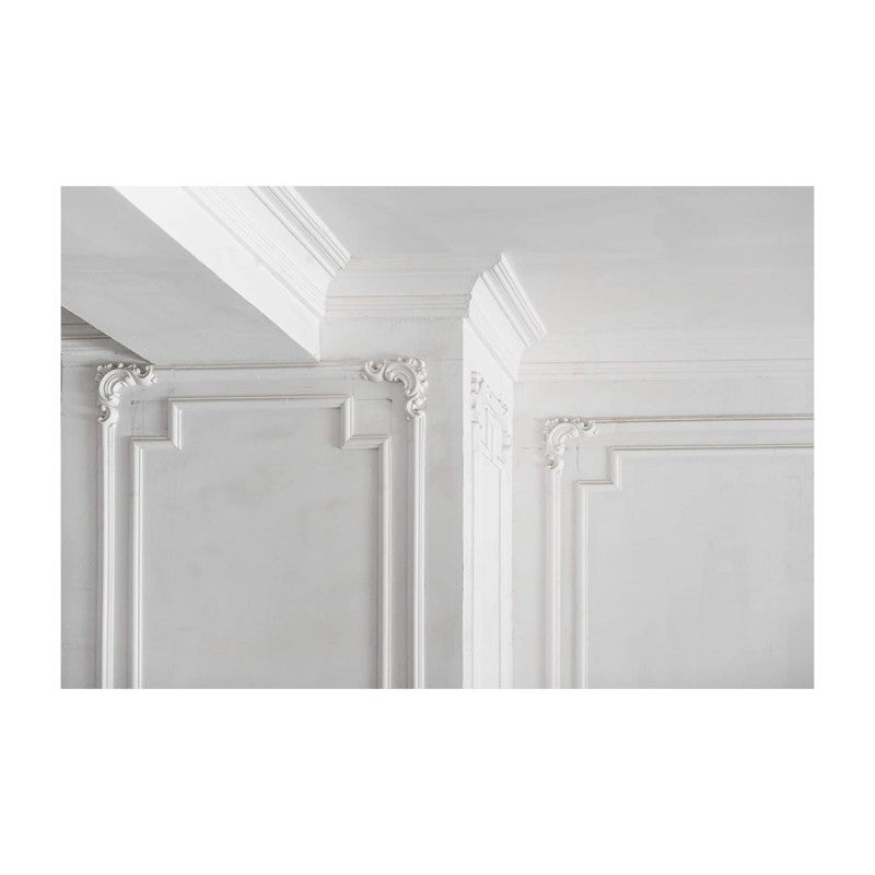 Plâtre à modeler PAREXLANKO - 2.5kg - 02803 - 3