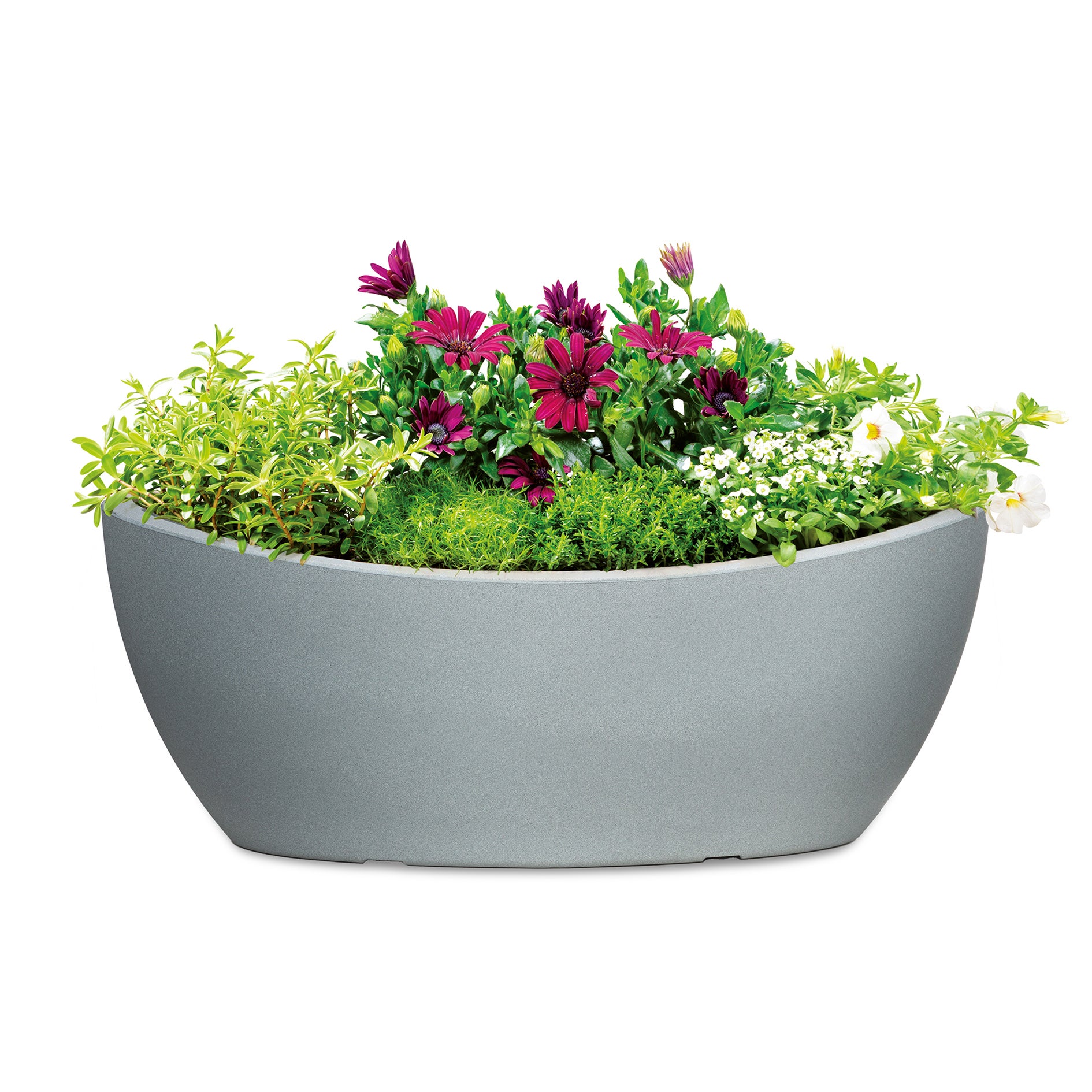 Scheurich Wave Globe Jardiniere 58, pot à fleurs/jardinière, ovale, coloris: Stony Grey, fabriqué avec du plastique recyclé, pour l’extérieur - 3