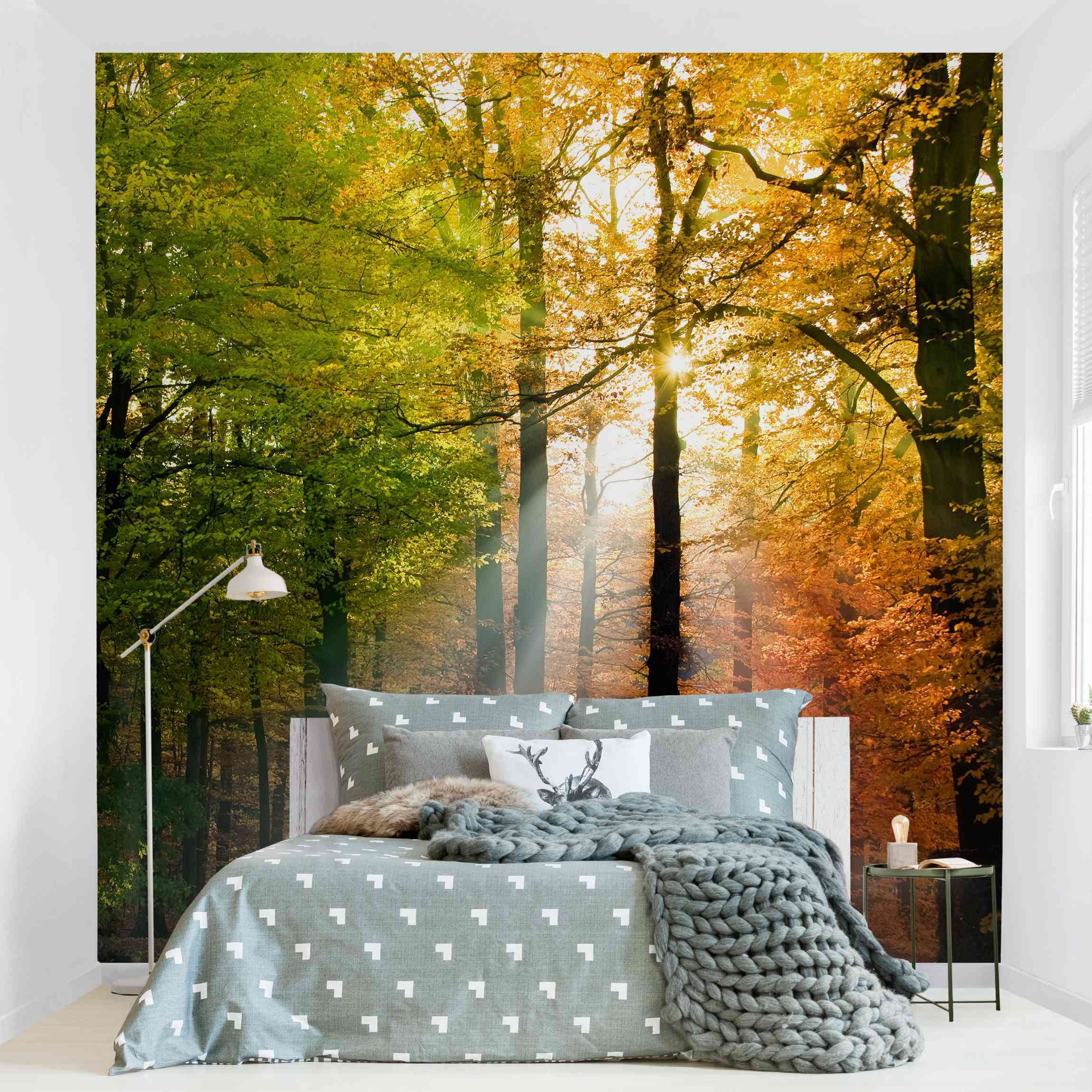 Papel pintado fotomural bosque naturaleza 77 - salón dormitorio cocina pasillo - tnt 288 x 288 cm smart