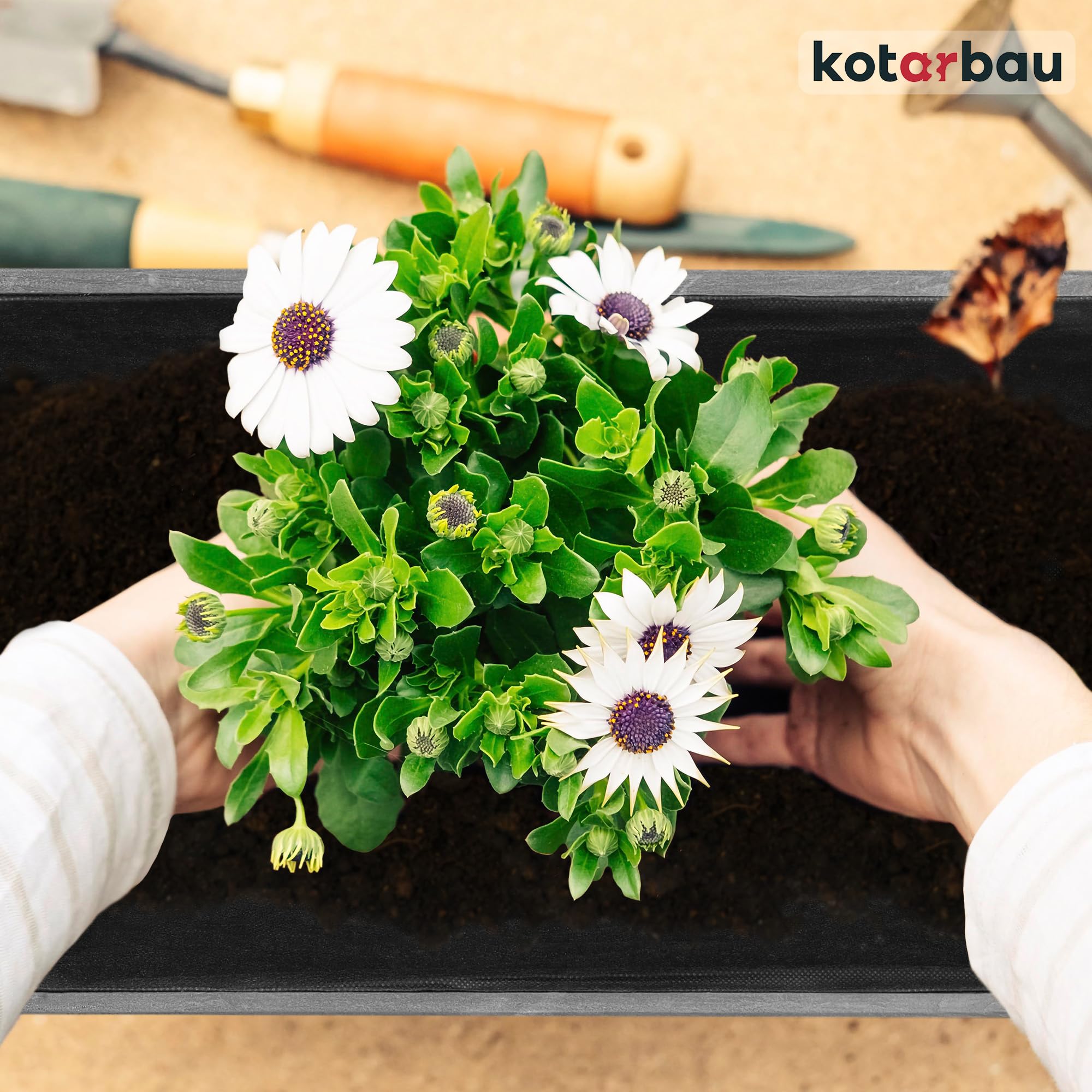 KOTARBAU Pot de fleurs en bois 60 x 33 x 25 cm Jardinière en pin carbonisé Pot de plantes Jardinière - Idéal pour jardin terrasse balcon - Anthracite - 8