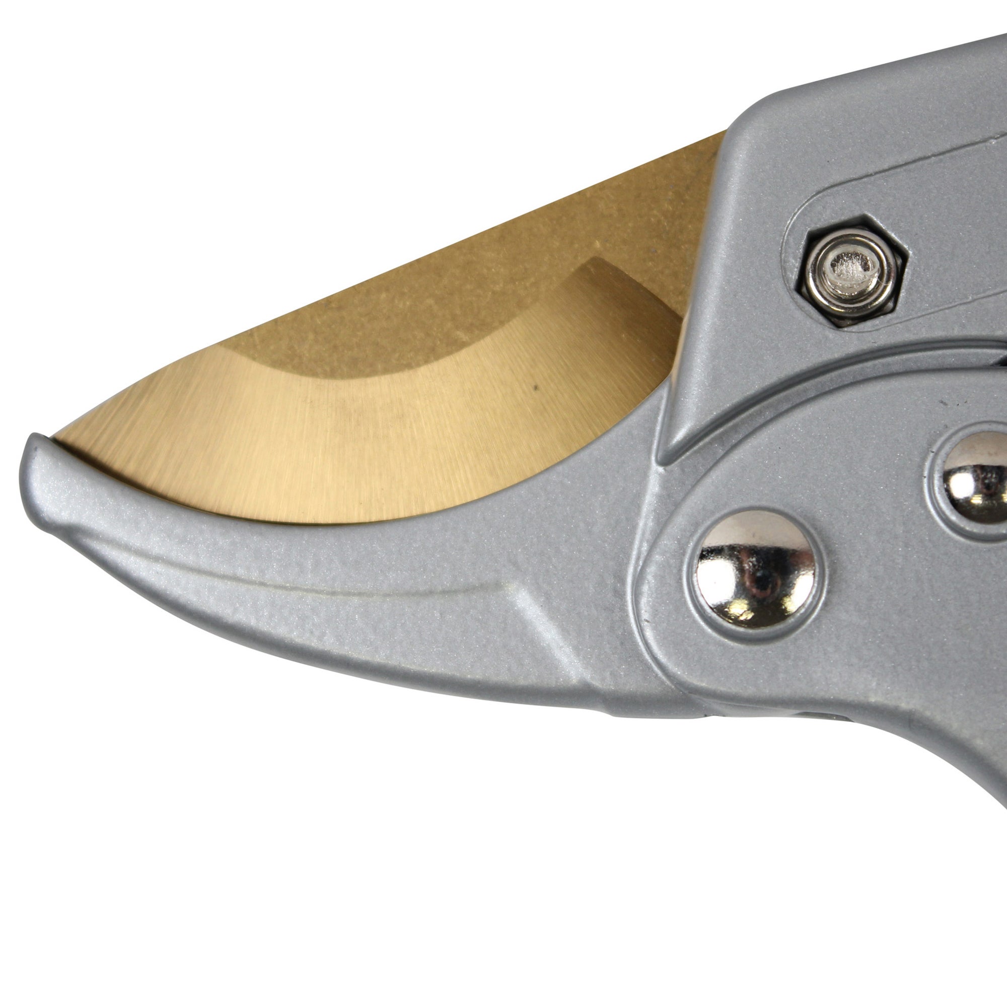 FISHTEC Secateur de Jardin Titanium a cremaillere - Poignee Ergonomique Antiderapant - Coupe Nette (Branches jusqu'a 20 mm) - 20 CM - Gris & Noir - 4