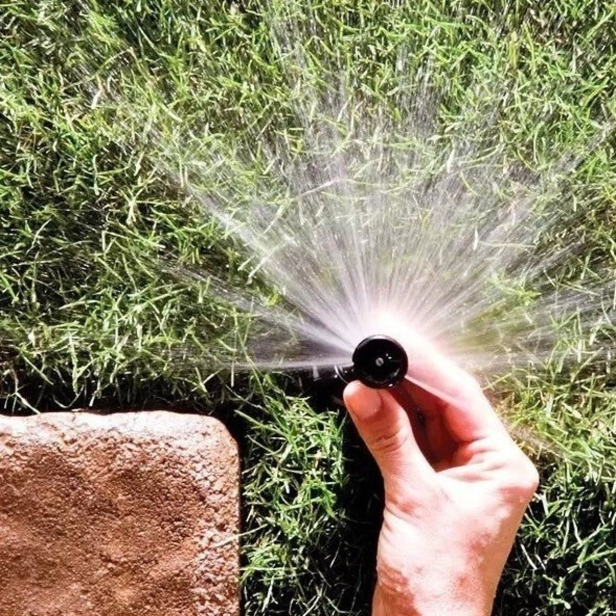 Diffuseur d'irrigation 1804 plus 8 buses Rain Bird | Offre exclusive - 6