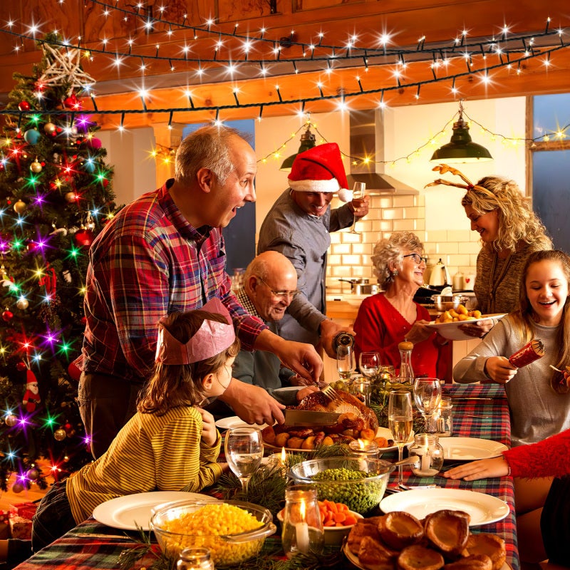 LED Guirlande lumineuse 100m 500LED Carnaval Mariage Extérieur Jardin Intérieur Éclairage blanc froid - 6