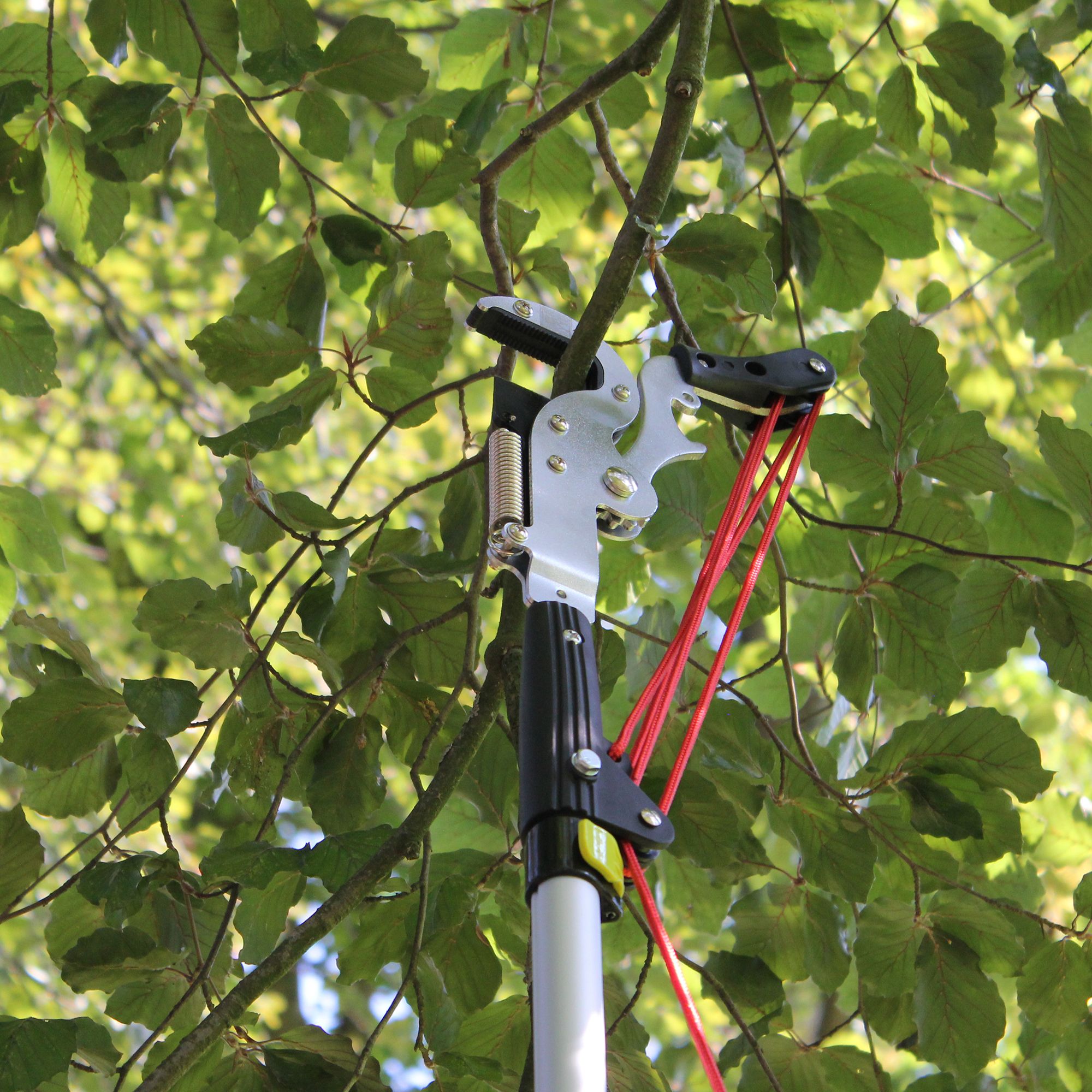 FISHTEC Échenilloir Scie télescopique Sécateur Coupe-Branches Arbre - 2,08 à 4,25m de hauteur - 6