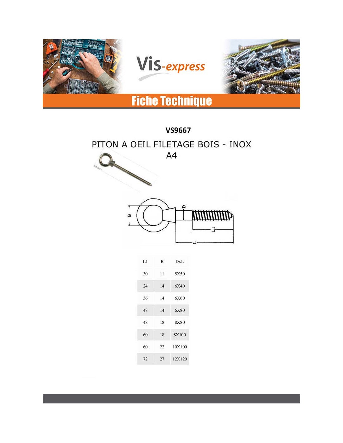 Piton à Oeil Filetage Bois OEIL14 6X60-1 pièce - 2