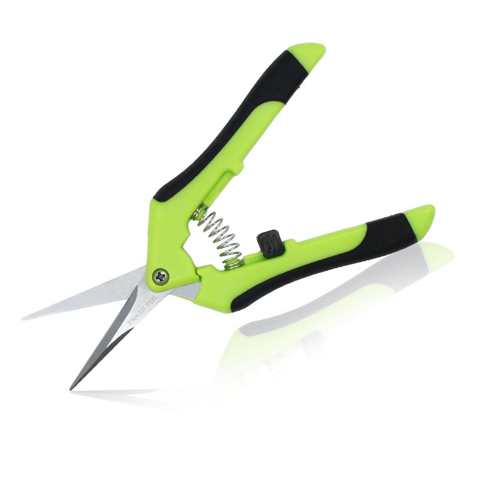 Sécateur De Précision TABOR TOOLS K77E - Lame Inox Pour Fleurs, Fruits, Herbes Et Taille Fine
