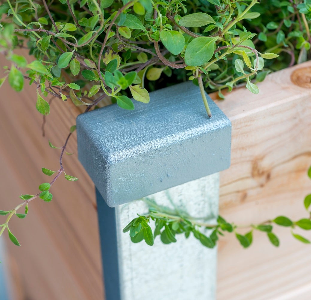 Carré Potager bois Douglas DESIGN 100 X 95 X 18CM - 3