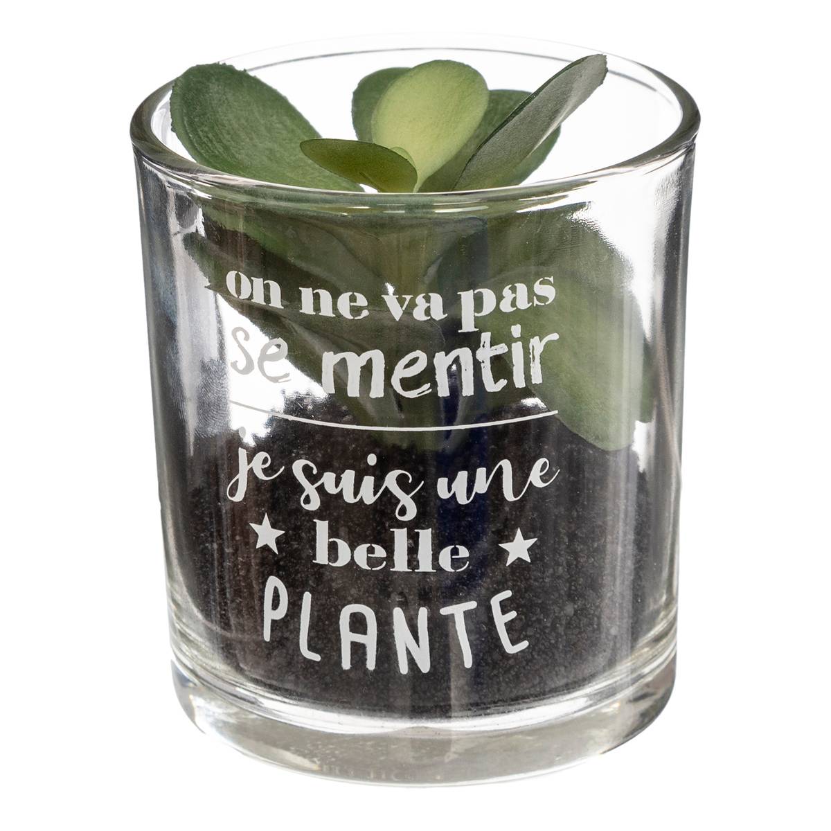 Plante Artificielle