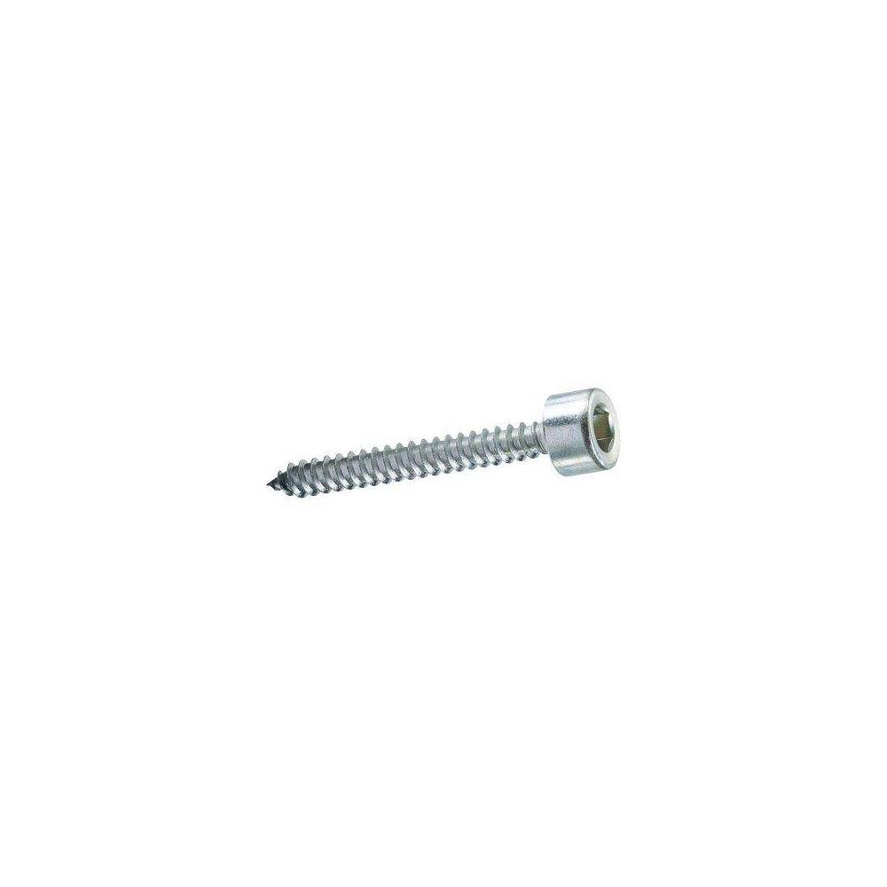 VIS AUTOTARAUDEUSES TCCE AMBROVIT BLANC GALVANISÉE MM 4,8X60 CF=PZ 200 - 3